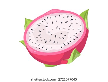 Metade de uma fruta de dragão, cortada transversalmente. Pitahaya, ou pitahaya, é uma fruta tropical exótica. Ilustração vetorial em um fundo branco.