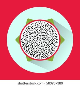 Half of Dragon Fruit isolated on brown background with flat design vector illustration
