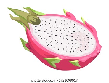 La mitad de una Ilustración vectorial de fruta de dragón. Pitaya o pitahaya cortada por la mitad. Fruta exótica tropical del verano aislada en un fondo blanco.