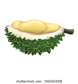 Half durian icon. Cartoon of Half durian vector icon for web design isolated on white background