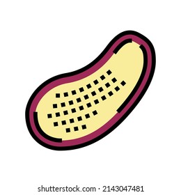 half of eggplant color icon vector. half of eggplant sign. isolated symbol illustration