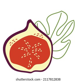 Half of an exotic purple fig fruit with a leaf. Vector hand-drawn illustration isolated on a white background
