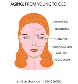 Half Face Old Young Woman Wrinkled Stock Vector (Royalty Free) 565616320