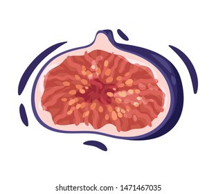 Half of figs. Vector illustration on white background.