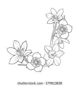 Half frame of spring flowers, decoration element, sketch vector illustration isolated on white background. Hand drawn realistic early spring flowers as half round frame, banner, label design