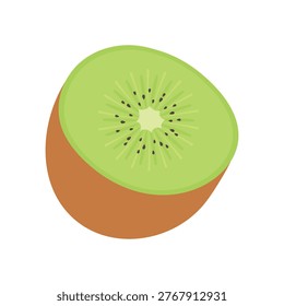 Half of fresh kiwi fruit vector illustration. Sliced green kiwi isolated on white background.