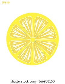 Half of fresh lemon on white background vector illustration 