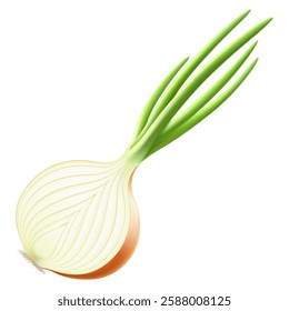 Half a fresh onion. Half of ripe yellow onion with green feather isolated on white background. Healthy food. Natural vegetable. Realistic 3d vector illustration