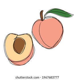 a half of fresh peach