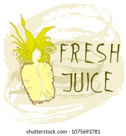 Half fresh pineapple background stain and spray. Vector illustration