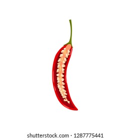 Half of fresh red hot chili pepper with seeds inside. Organic vegetable. Natural product. Flat vector icon