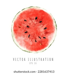 A half of fresh watermelon watercolor painting isolated on white background