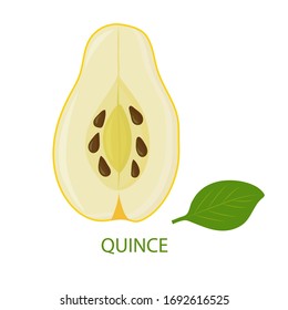 Half of the fruit is quince and his leaf, isolated on white background. Vector flat illustration.