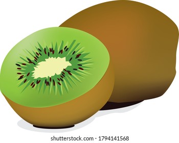 half and full view kiwi illustration 