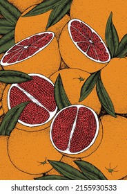 Half grapefruit with leaves illustration.
Graphic drawing fruits with outline.