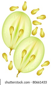 Half of the grapes with seeds. Vector illustration on white background.