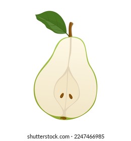 Half of green pear. Illustration of sweet ripe pear. Cartoon drawing of juice garden fruit with leaf cut in half isolated on white. Fruit, dessert concept