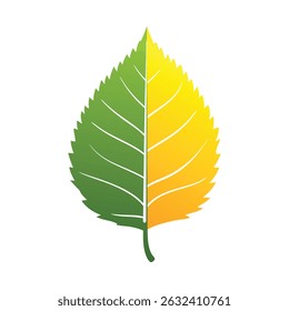 Half Green Half Yellow Leaf Autumn Transition Nature Symbol Fall Colors