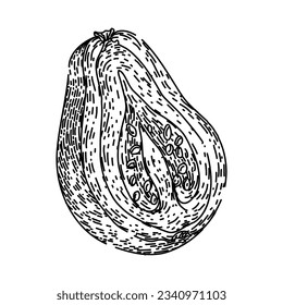 half guava fruit hand drawn. slice tropical, cut green, guajava leaf half guava fruit vector sketch. isolated black illustration
