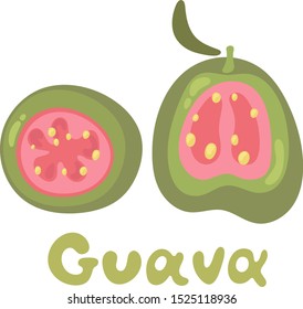 Half of guava icon. Isolated object. Guava logo. Healthy vitamin food. Vector illustration
