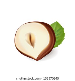 half of hazelnut with leaf isolated on white background