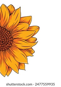 Half isolated sunflower illustration white background