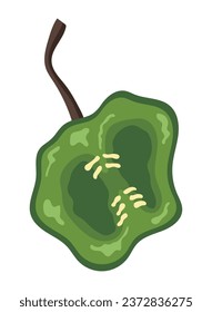 half jalapeno green vector isolated