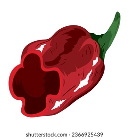 half jalapeno icon isolated design