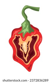 half jalapeno red vector isolated
