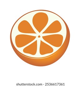 Metade de laranja suculenta. Ilustração vetorial