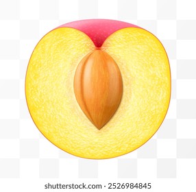 Half of a juicy plum with a stone isolated on transparent background. Round red fruits, prunes, red jam natural berries, dark grapes, date fruit, fresh organic food. Realistic vector 3d illustration