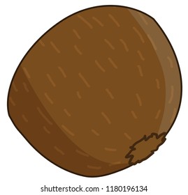 Half of Kiwi Back Side