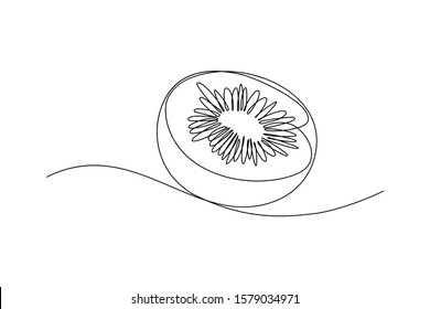 Half kiwi fruit in continuous line art drawing style  Black line sketch white background  Vector illustration