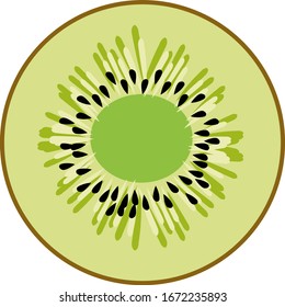 Half kiwi, illustration, vector on white background.