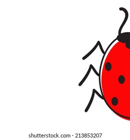 Half ladybug isolated on white