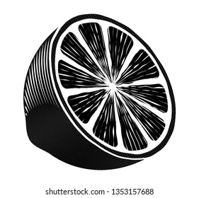 Half a lemon. Black and white graphic drawing resembling an engraving