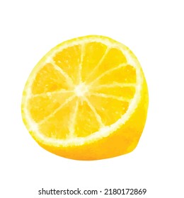 Half of the lemon (Citrus limon), lime isolated on white background. Watercolor style. Realistic Vector illustration. Clipart