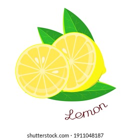 Half a lemon and a cut piece with leaves and an inscription with the name of the plant. Vector illustration isolated on a white background. Hand drawing