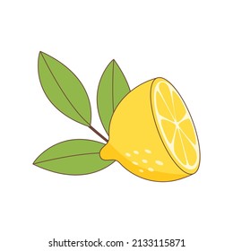 A half of lemon with green leaves