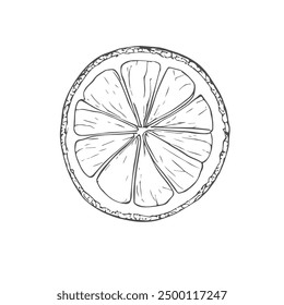 Medio limón, Vector dibujado a mano, estilo gráfico, ilustración de dibujos animados, blanco y negro, estilo de boceto, aislado sobre fondo blanco