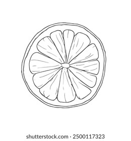 Half Lemon, Hand-Drawn Vector, Graphic Style, Cartoon Illustration, Black and White, Sketch Style, Isolated on White Background