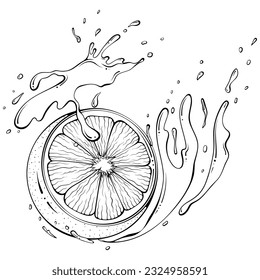 Half a lemon with juice or water splash. Liquid drops. Vector illustration in hand drawn sketch doodle style. Line art ingredient for fresh juice isolated on white. Close up fruit coloring book