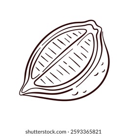 Half of lemon in line art style. Vitamin ingredient design for fruit store, package and cafe menu isolated on a white background.