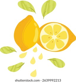 Half Lemon and Lemon Slice with Leaves – Colorfull Fruit Flat Vector Illustration - Healthy Vegan Lemonade