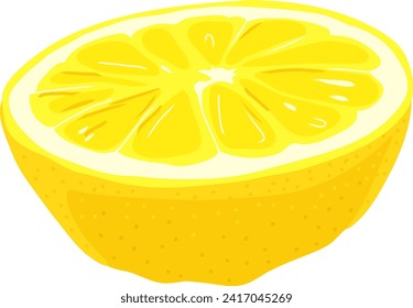 Eine halbe Zitrone. Saure Zitrusfrüchte. Vektorgrafik.