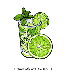 Half lime and glass of freshly squeezed juice, mojito, cocktail with ice and mint, sketch vector illustration isolated on white background. Hand drawn glass of lime juice and lime quarter