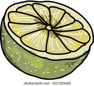 Half lime, illustration, vector on white background.
