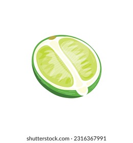 Half of lime on white background