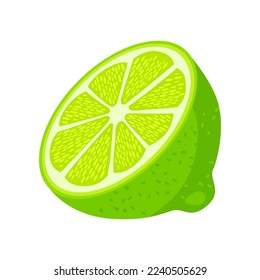 Half of lime with vitamin C vector illustration. Cartoon drawing of enriched organic antioxidant, lime. Food, nutrition, diet concept
