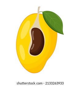 Half of mango on white background. Flat vector illustration